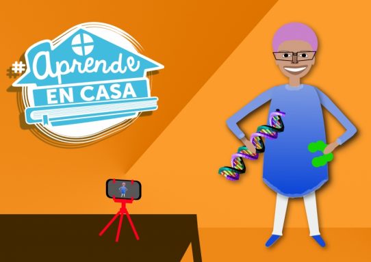 Las mejores clases en video realizadas por docentes de Bogotá